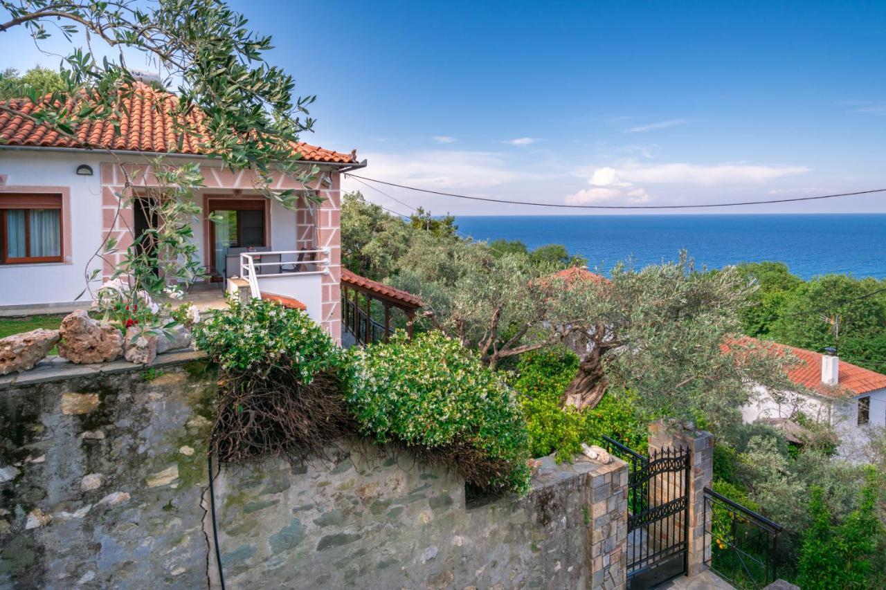 Hébergement de vacances Gardenia Sea View *